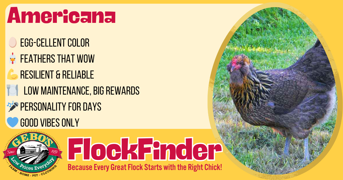 FlockFinder - Americana - Gebo's