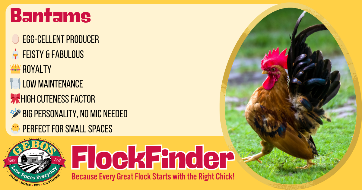 FlockFinder - Bantams - Gebo's