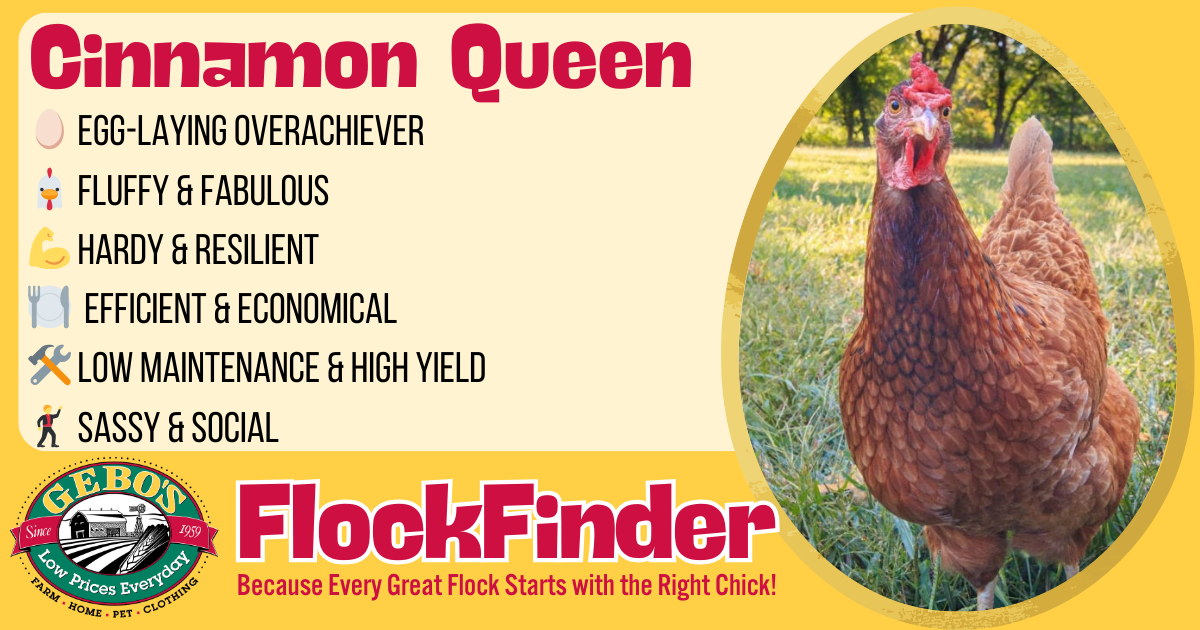 FlockFinder - Cinnamon Queen - Gebo's