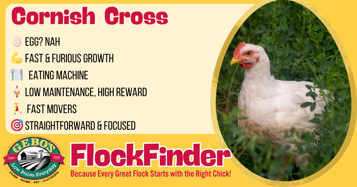 FlockFinder - Cornish Cross Broiler - Gebo's