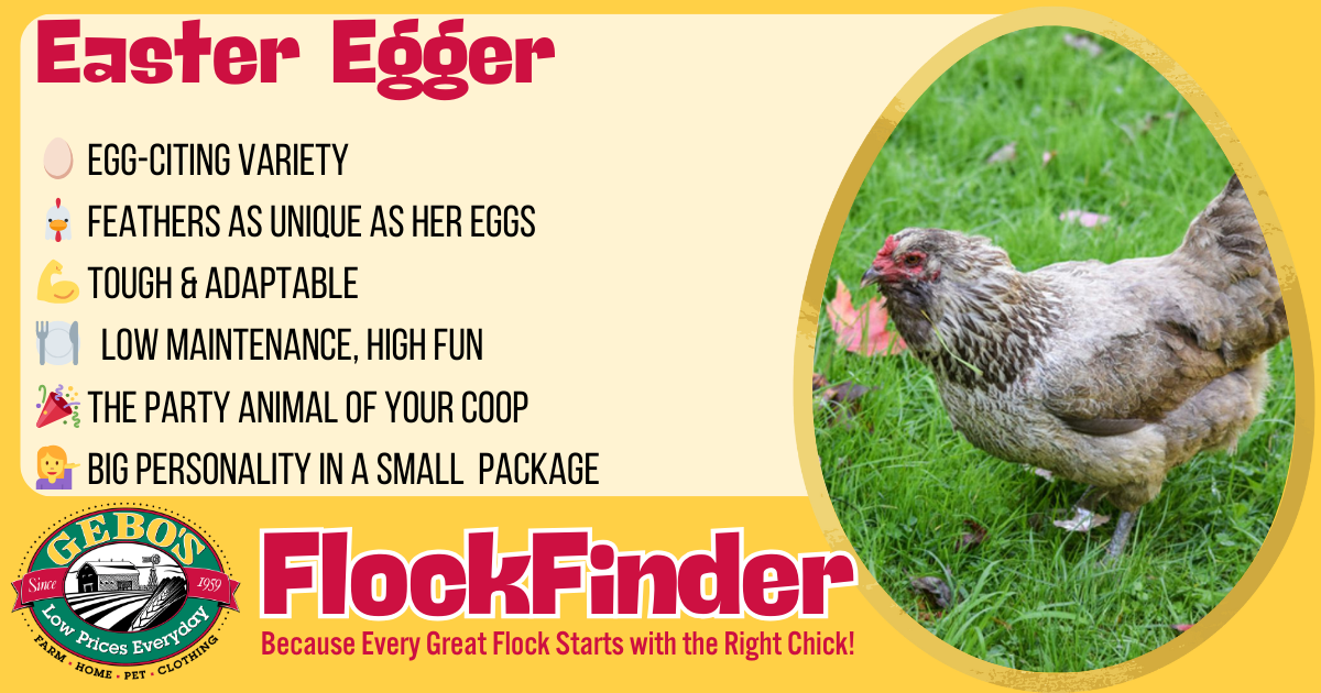 FlockFinder - Easter Egger - Gebo's