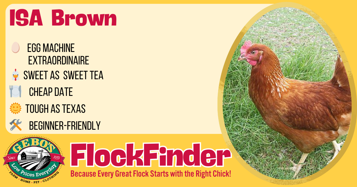 FlockFinder - ISA Brown - Gebo's